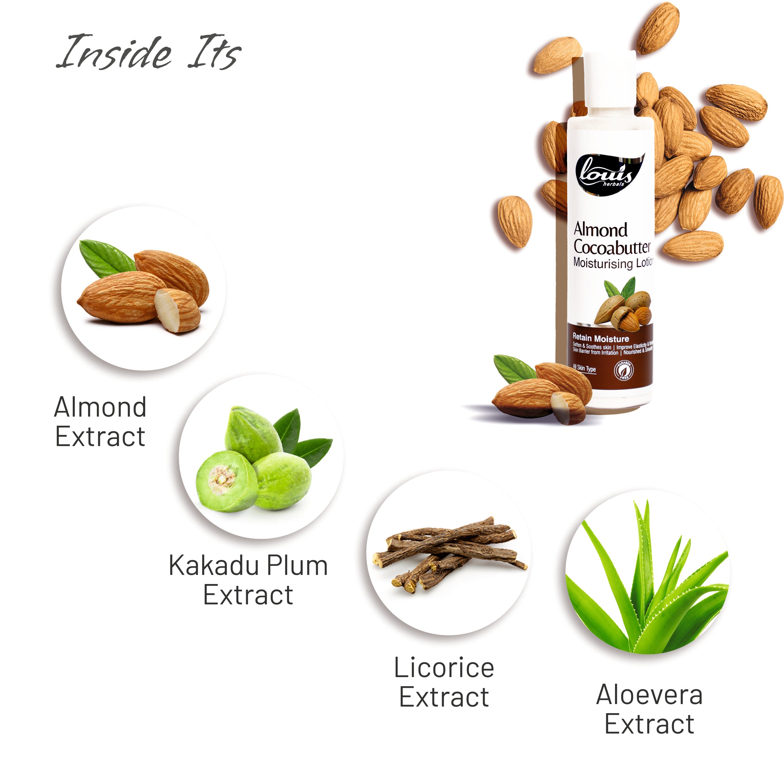 Key ingredients in Louis Herbals Almond Cocoa Butter Lotion: cocoa butter, shea butter, aloe vera, and kakadu plum extracts for skin elasticity and moisture retention