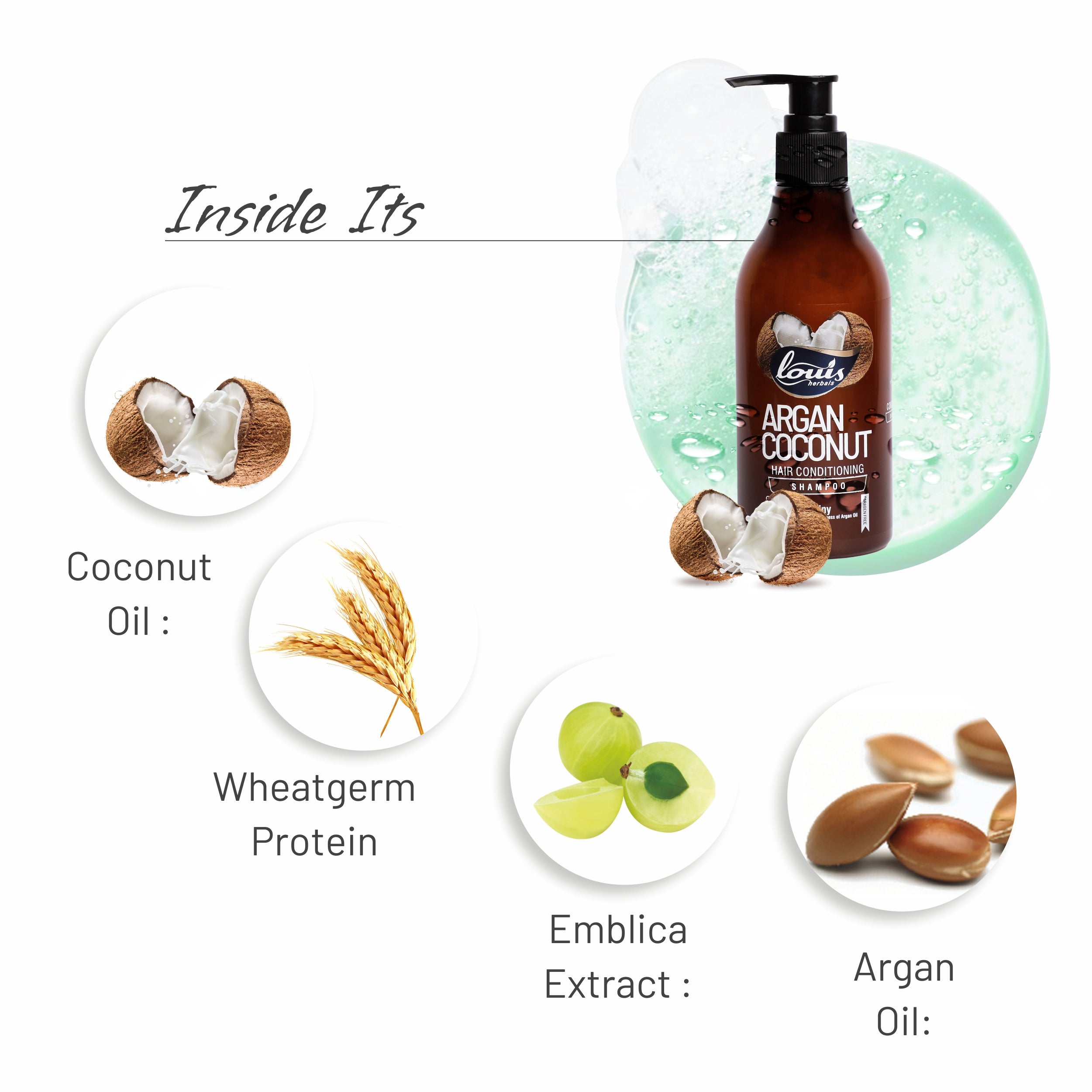 Louis Herbals Argan Coconut Hair Conditioning Shampoo ingredients highlight: argan oil, coconut oil, wheat germ protein and emblica extract repairing damaged hair