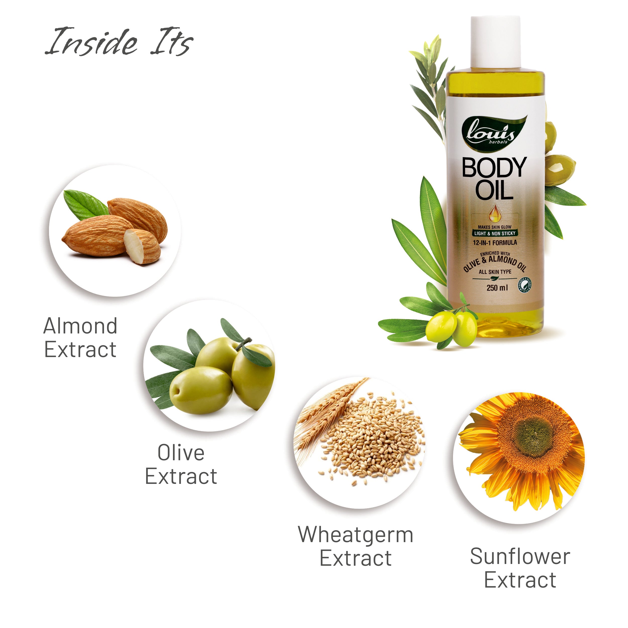 Key ingredients of Louis Herbals Body Oil – wheatgerm oil, turmeric, olive oil, tulsi oil, sunflower oil, and vitamin E