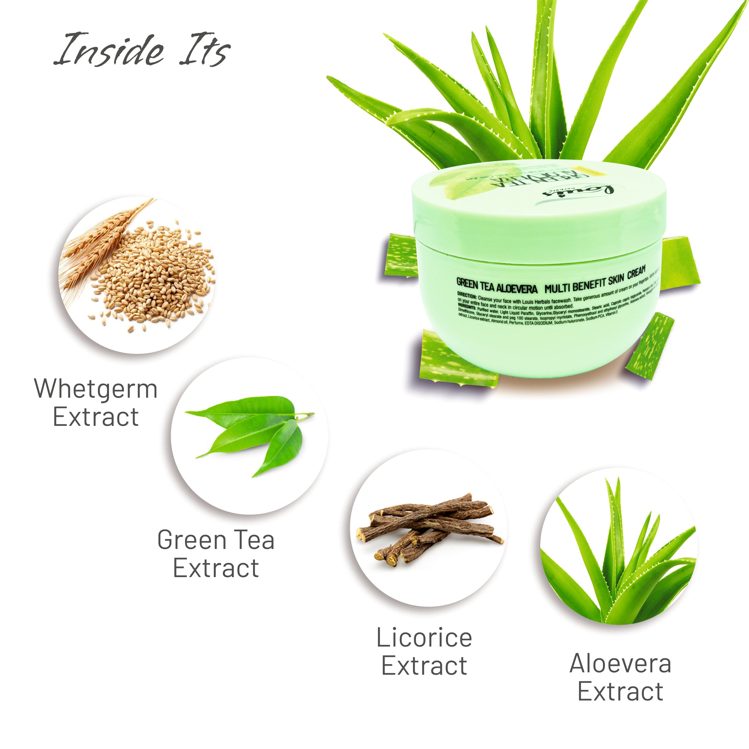 Louis Herbals Green Tea Aloe Vera Skin Cream ingredients – Enriched with aloe vera extract, green tea extract, and wheat germ oil