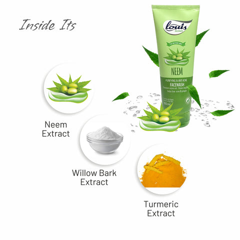 Key ingredients of Neem Purifying & Anti-Acne Face Wash – neem extract, turmeric extract, willow bark extract, soap-free formula