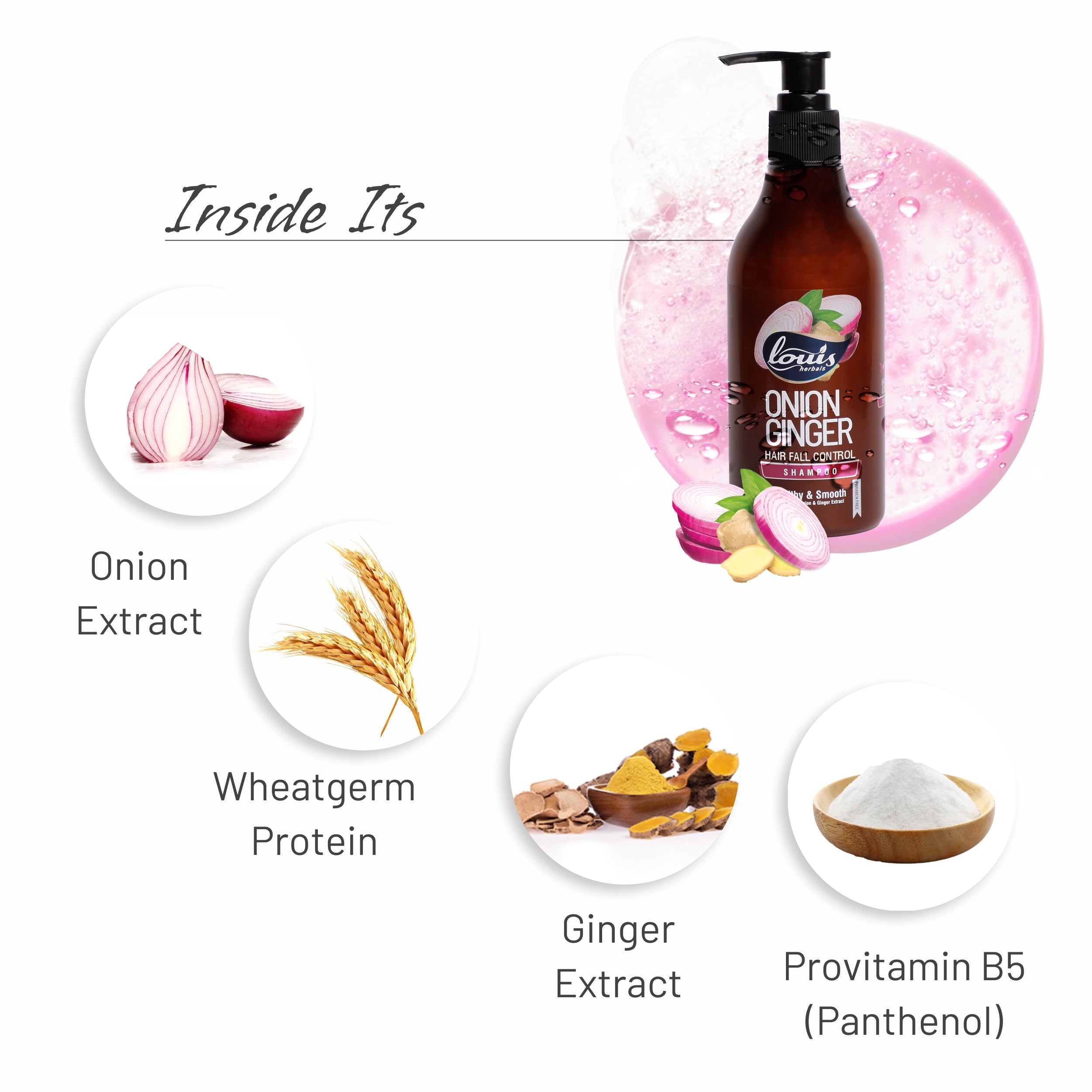 Onion Ginger Hairfall Control Shampoo key ingredients onion extract, ginger extract, wheat germ protein, provitamin B5 for stronger hair roots